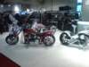 dsc00237_small.jpg