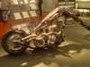 dsc00243_small.jpg
