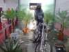 dsc00252_small.jpg