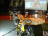 dsc00278_small.jpg