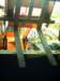 pict0110_small.jpg