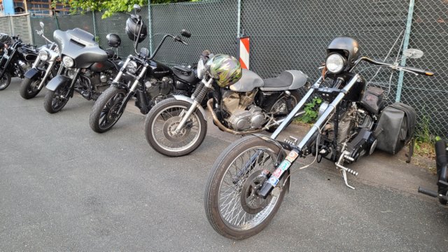 photo11.jpg